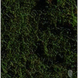 Swamp Harbour (Stinkin Slumrok & Bisk) - Swamp Harbour (Limited Edition 12" Vinyl)-Blah Records-Vinyl-Blah Records