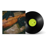 Black Josh & Lee Scott - It Made Sense At The Time (Vinyl)