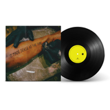 Black Josh & Lee Scott - It Made Sense At The Time (Vinyl)